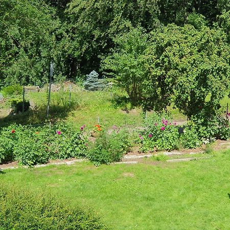 Ferienhaus In Geesthacht-Tesperhude Direkt Am Waldrand Exteriér fotografie