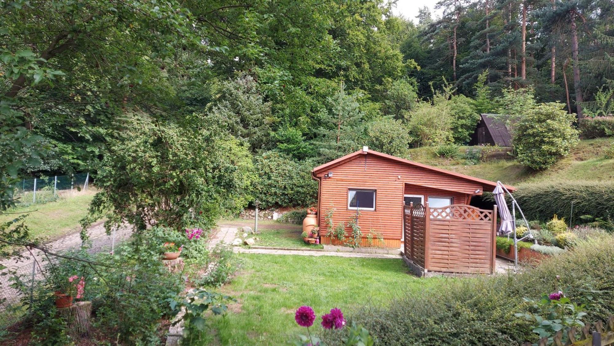 Ferienhaus In Geesthacht-Tesperhude Direkt Am Waldrand Exteriér fotografie
