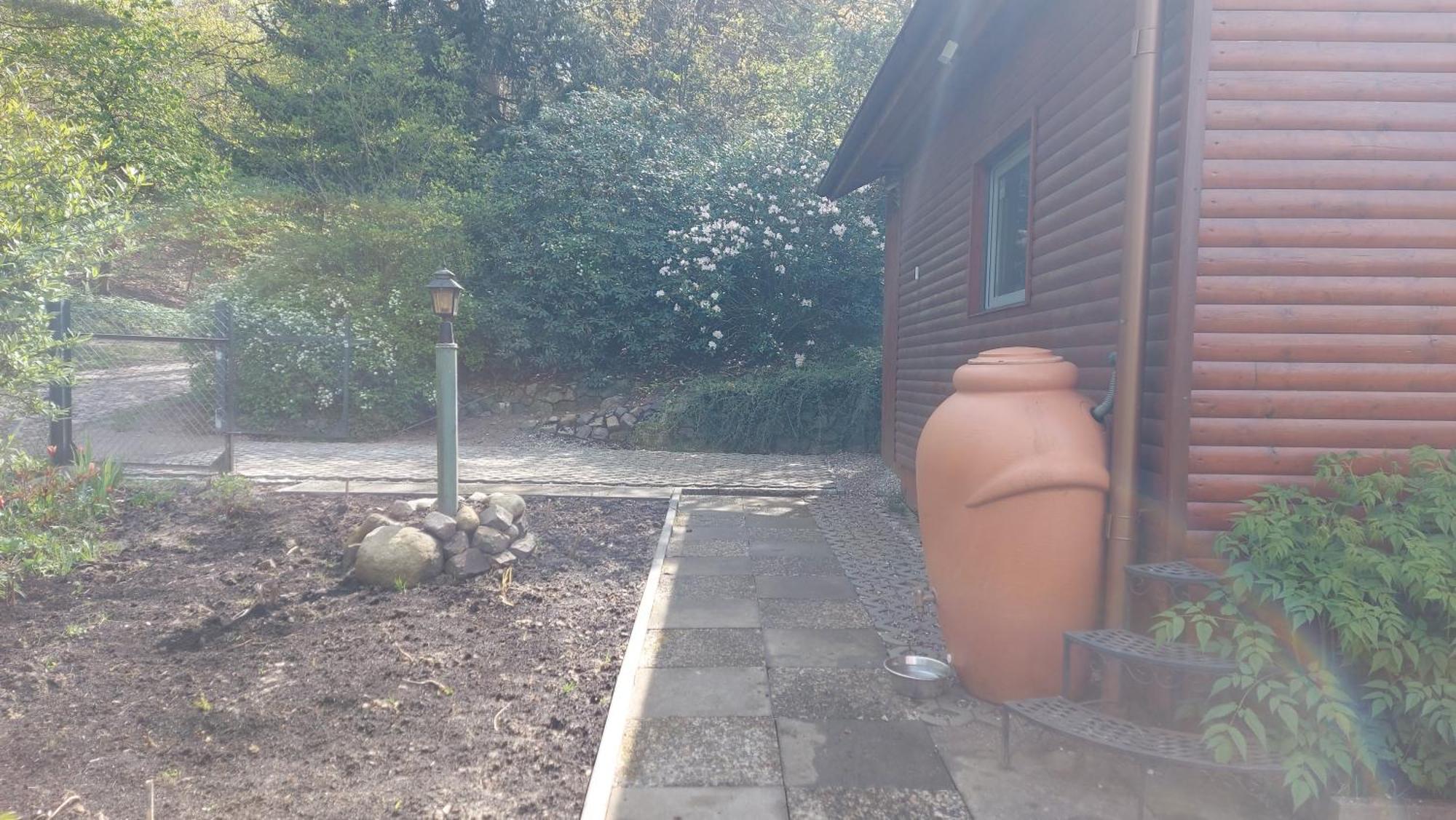 Ferienhaus In Geesthacht-Tesperhude Direkt Am Waldrand Exteriér fotografie