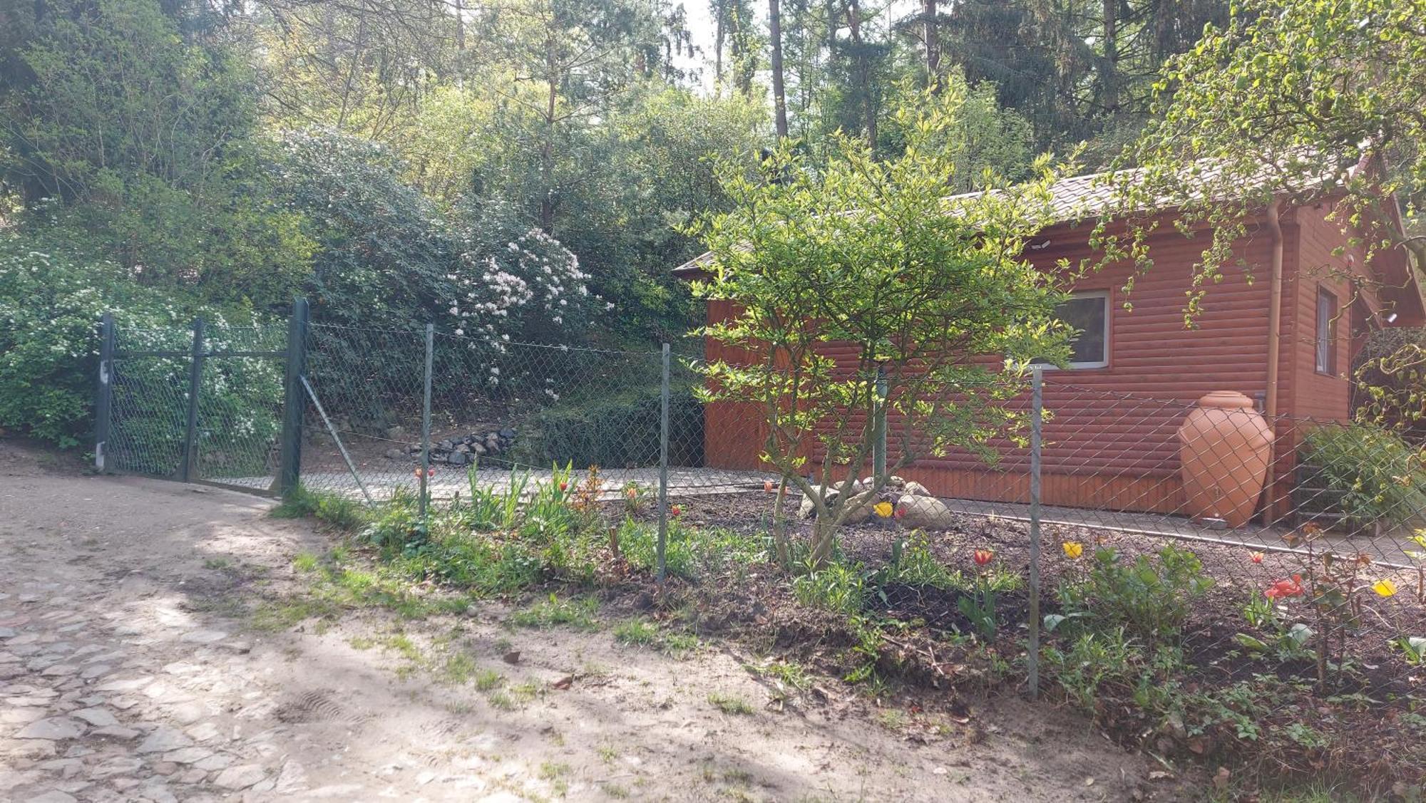 Ferienhaus In Geesthacht-Tesperhude Direkt Am Waldrand Exteriér fotografie