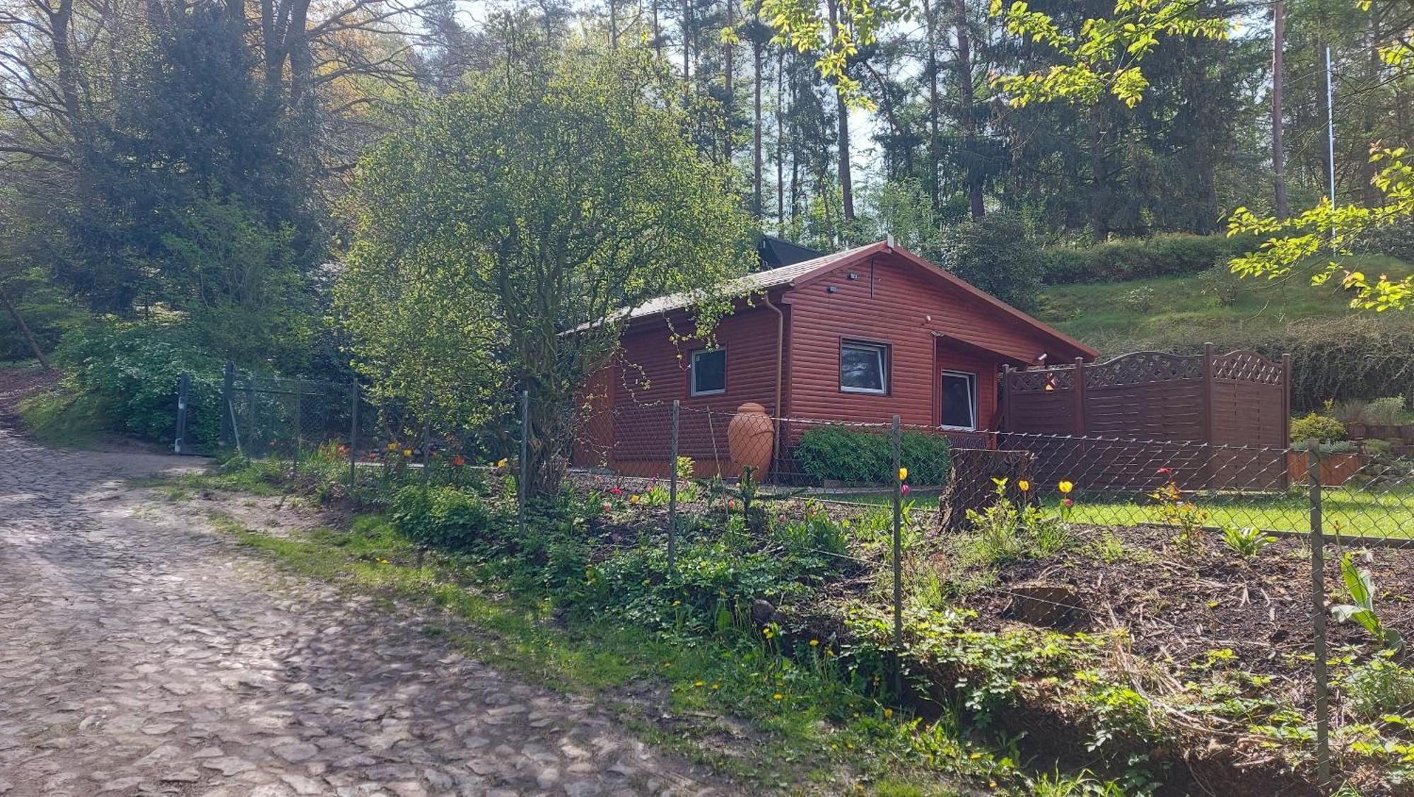 Ferienhaus In Geesthacht-Tesperhude Direkt Am Waldrand Exteriér fotografie